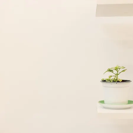 Free Parking Sudio Apartamento Tirana