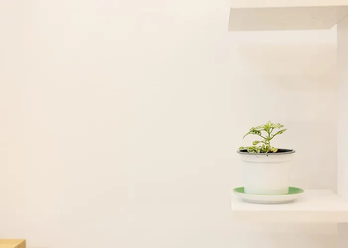 Free Parking Sudio Daire Tiran